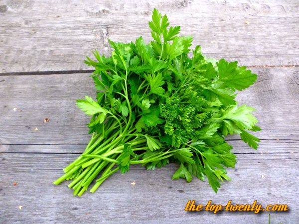 Parsley